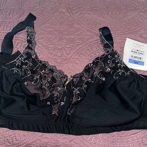 Avenue Body bra